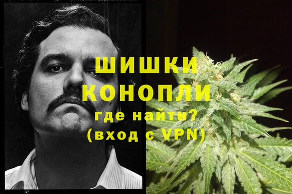 spice Медвежьегорск