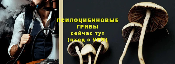 прущая мука Мегион