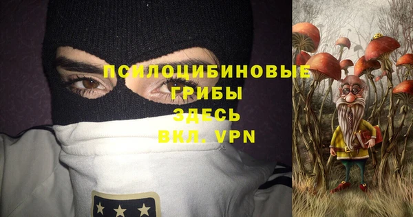 спиды Медногорск